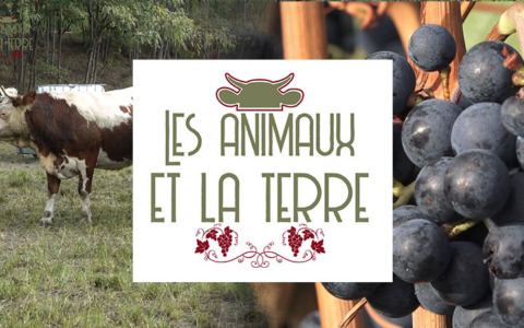 Les animaux et la terre – 16-06-2024 Puntata Intera